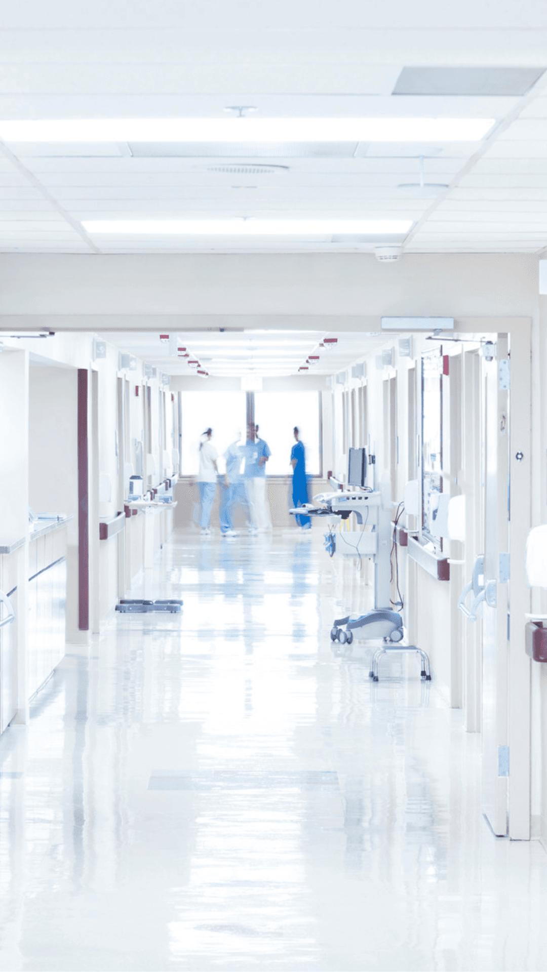 clinicas sanitarias